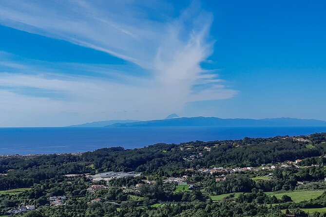3 in 1 Tour from The Mountain to Cave with Wine - Biscoitos Winery and Volcanic Wine Tasting