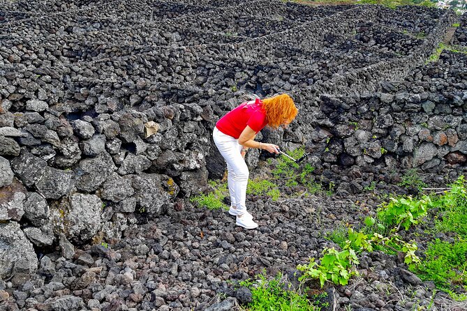 3 in 1 Tour from The Mountain to Cave with Wine - Biscoitos Natural Pools: End With Coastal Views