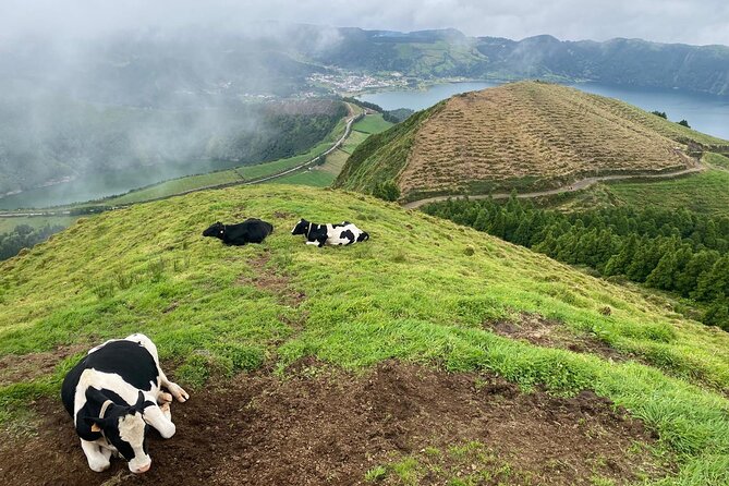4x4 Half Day - Sete Cidades Tour - Key Highlights You Will Feel in Real Time