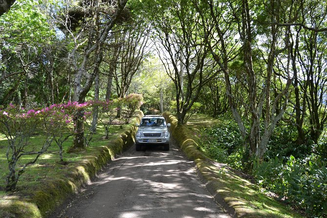 8-Hour Private Tour in 4x4 Vehicle from Ponta Delgada - Why a private 4x4 tour works better than self-drive on São Miguel