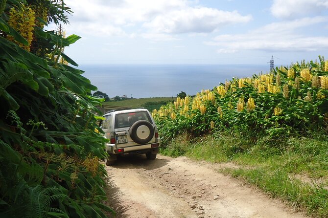 8-Hour Private Tour in 4x4 Vehicle from Ponta Delgada - Who should book this 8-hour private 4x4 tour