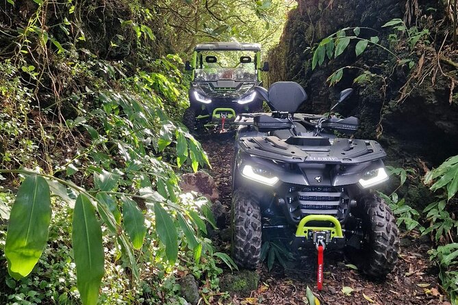 Adventure by buggy in Mount Pico - Key highlights worth caring about