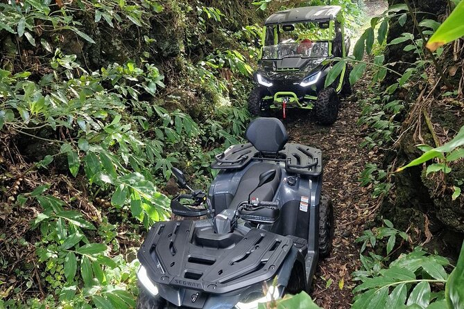 Adventure by buggy in Mount Pico - Mount Pico in a buggy: what the ride is really like