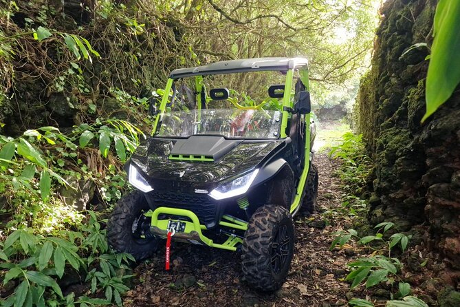 Adventure by buggy in Mount Pico - Gear and comfort: glasses, helmet, and what to wear