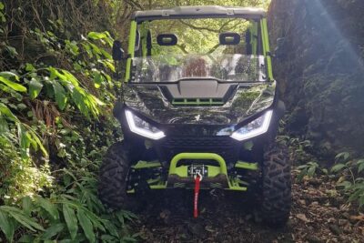 Adventure by buggy in Mount Pico