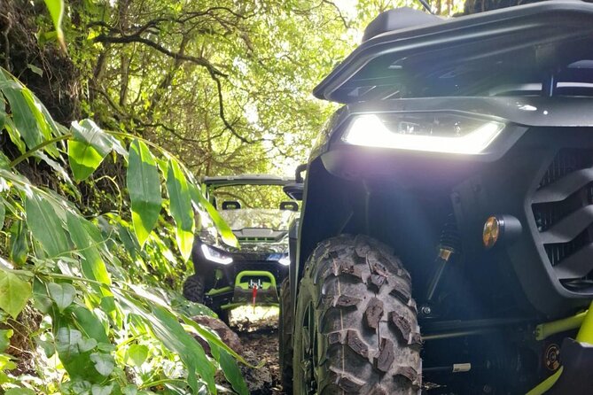 Adventure by buggy in Mount Pico - Price and value: what $156.53 buys you in 3 hours