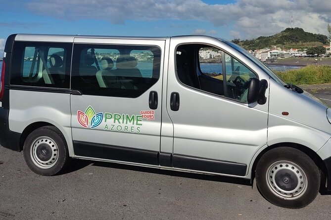 Adventure in the Furnas, with volcanoes, lagoons and tea plantations - Pineapples at the Acores farm: quick tour, quick refresh