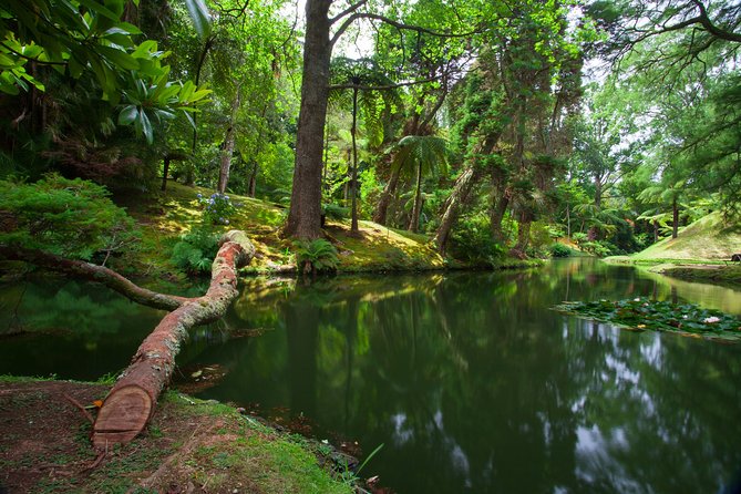 An Adventure Through the EAST of São Miguel island - Key highlights worth your attention