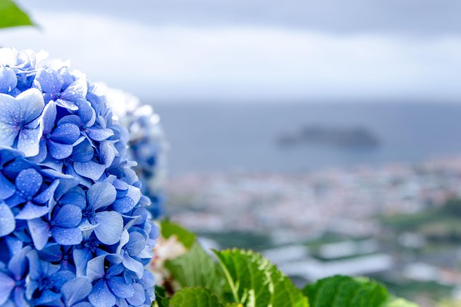 An Adventure Through the EAST of São Miguel island - Lunch included in Furnas, then Terra Nostra Park thermal time if you want it