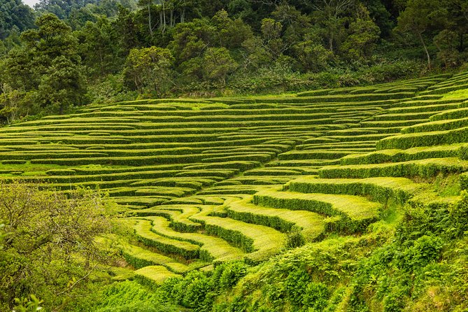 An Adventure Through the EAST of São Miguel island - Price and logistics: what $89.90 gets you and what costs extra
