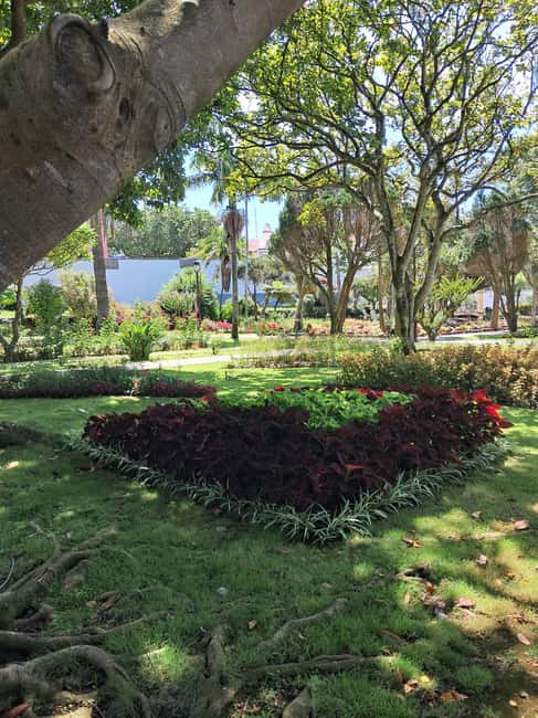 Angra do Heroísmo: A walking tour of the city - What the small-group format changes for you