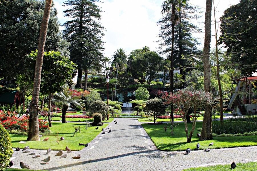 Angra do Heroísmo: Walking Tour with Local Pastry and Coffee - Coffee and Dona Amélia: the smart reset halfway through