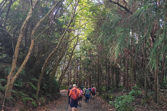 Authentic Azorean Experiences Expert Guided Tours and Excursions - Sete Cidades and Faial da Terra: the classic views, handled with care