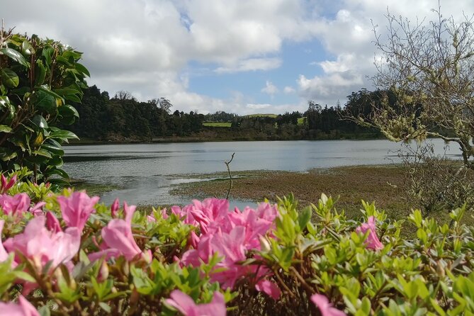Azores: 1 Day Private Tour Furnas Volcanic Activity & Hot Springs - Pico do Ferro viewpoint: crater context before the steam shows up