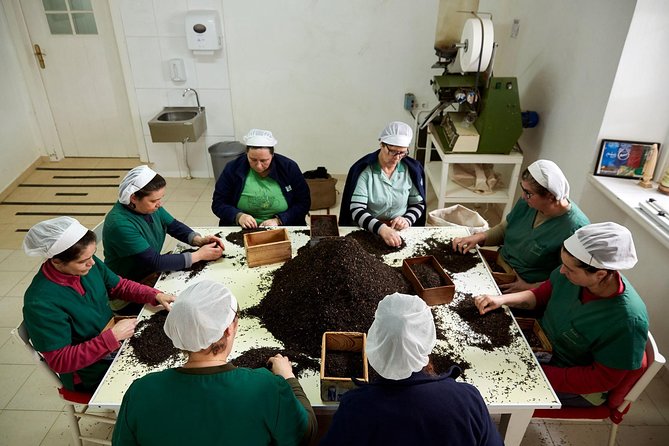 Azores: 1 Day Private Tour Furnas Volcanic Activity & Hot Springs - Back to Furnas Village for the full food moment