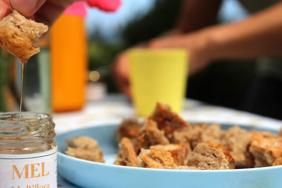Azores Beekeeping Experience and Honey Tasting - Lagoa’s Apiário Margaridas: bees, plants, and why this place matters