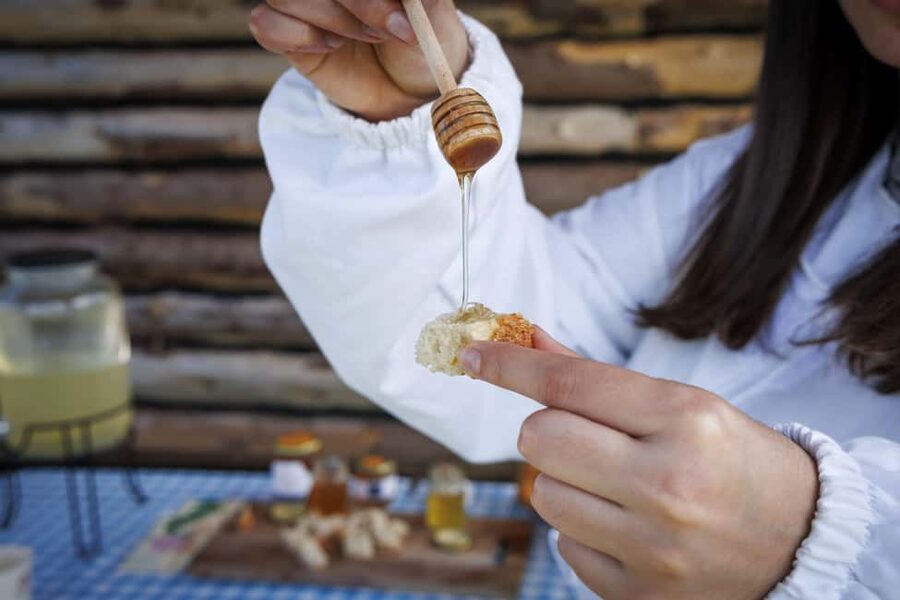 Azores Beekeeping Experience and Honey Tasting - Price and timing: what $56 really buys you
