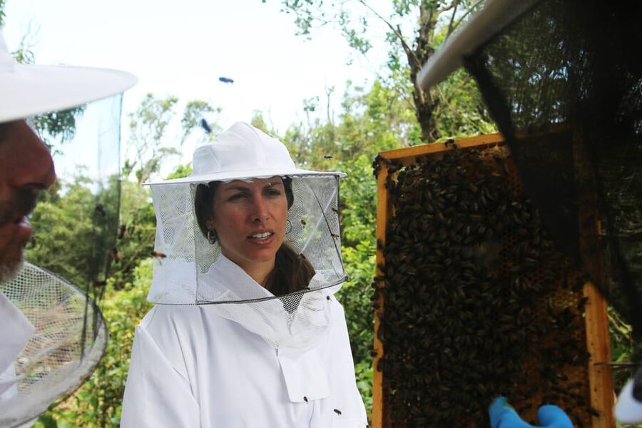 Azores Beekeeping Experience and Honey Tasting - Meet Carolina and get the bee basics before you open anything