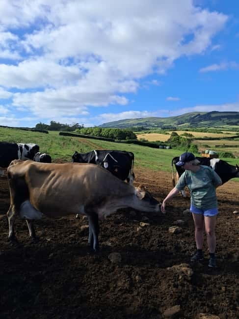 Azores: Dairy Farm Tour - Key Things I’d Plan For
