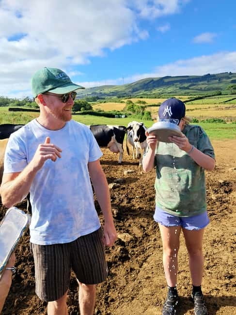 Azores: Dairy Farm Tour - Why This Azores Dairy Farm Tour Feels Like a Real Morning Job