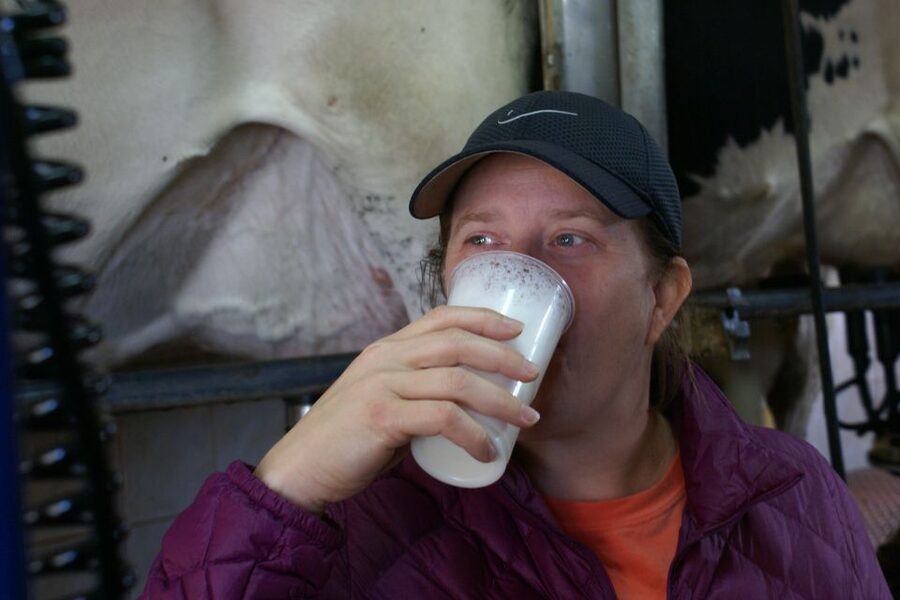 Azores: Day at the Farm with Traditional Lunch - Languages and the Guide Experience