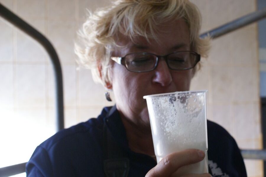 Azores: Day at the Farm with Traditional Lunch - Why This Azores 4x4 Farm Day Feels Different