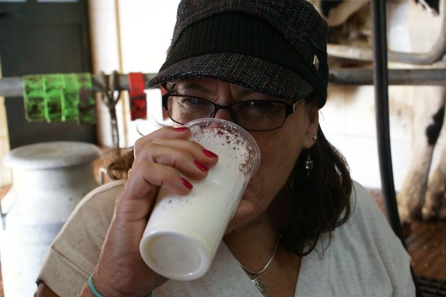 Azores: Day at the Farm with Traditional Lunch - Lagoons After Lunch, and When to Add the Caves