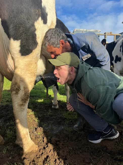 Azores: Day at the Farm with Traditional Lunch - Price and Value for an 8-Hour Full Day