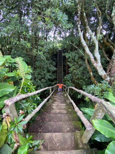 Janela do Inferno, Caldeira Velha Guided Hiking Tour