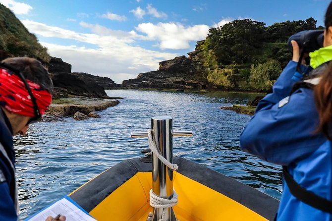 Azores Marine Birdwatching Expedition w/ Biologist Guide - Price and Logistics: Is It Worth About $58.81?