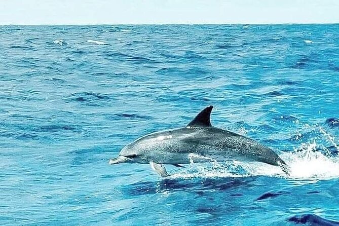 Azores Sailing Yacht Charter and Liveaboard Expeditions - São Jorge: Velas, Lagoa da Faja de Santo Cristo, and Faja dos Cubres views