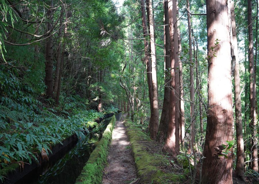 Azores: São Miguel and Lagoa do Fogo Hiking Trip - Key things I’d pay attention to