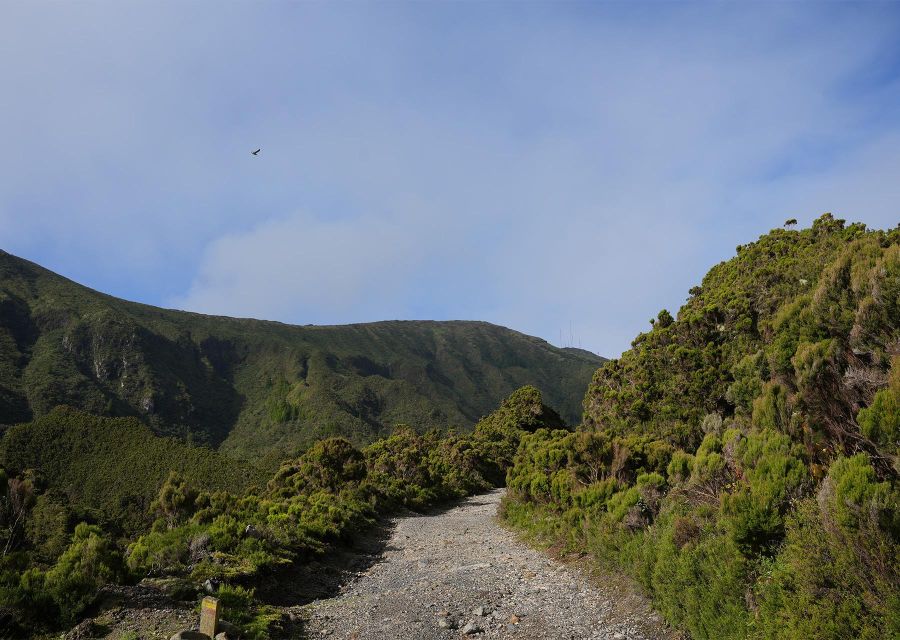 Azores: São Miguel and Lagoa do Fogo Hiking Trip - Why Lagoa do Fogo feels worth the hike