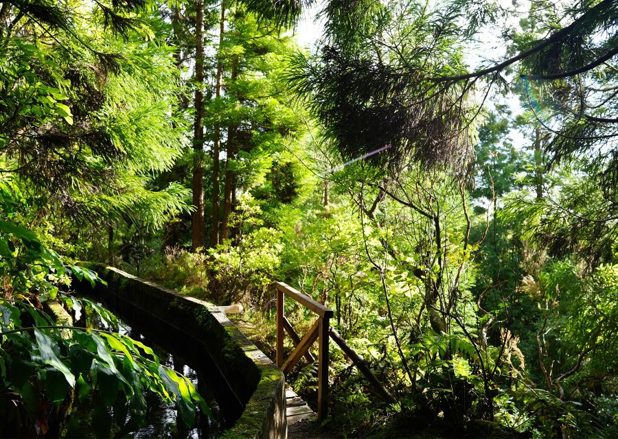 Azores: São Miguel and Lagoa do Fogo Hiking Trip - Lagoa do Fogo: guided nature at the lake shore