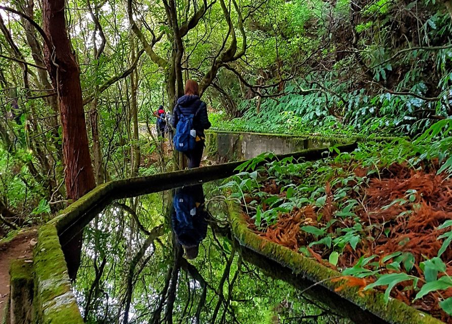 Azores: São Miguel and Lagoa do Fogo Hiking Trip - Who should book this hike (and who should skip it)