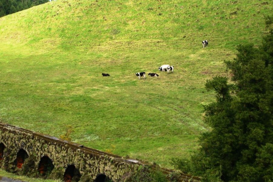 Azores: Sete Cidades Scenic Jeep Tour from Ponta Delgada - The 4WD ride: what it feels like and how to pack
