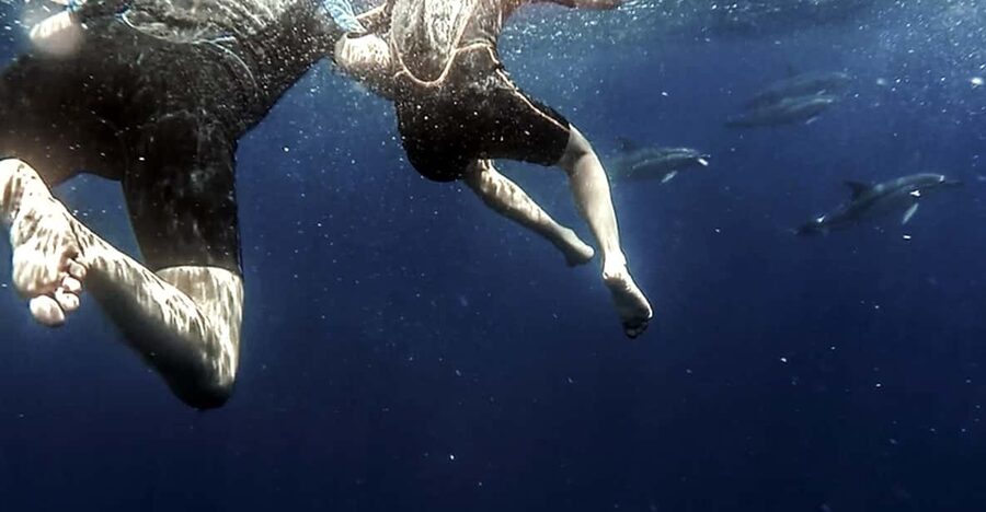 Azores: Swim with Dolphins Atlantic Experience - Why Vila Franca do Campo is such a good Azores starting point