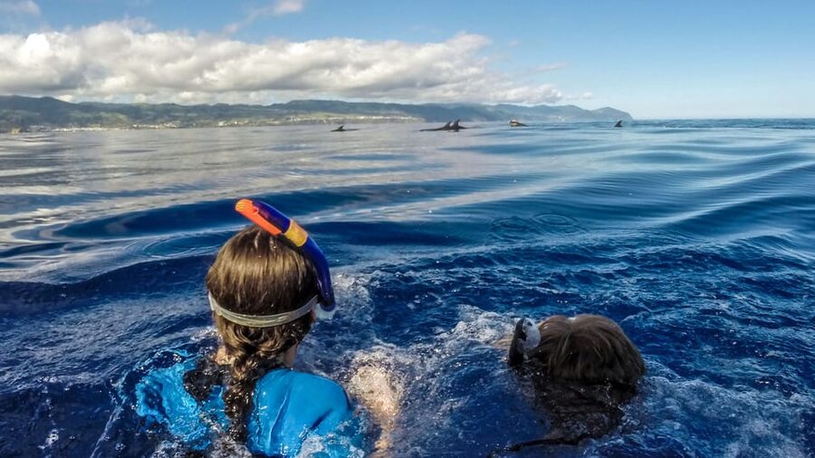 Azores: Swim with Dolphins Atlantic Experience - The boat ride: fast scouting, then careful approach