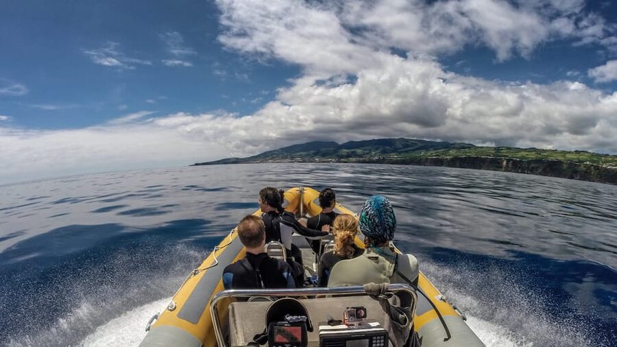 Azores: Swim with Dolphins Atlantic Experience - Dolphin swim rules that keep it conservation-minded