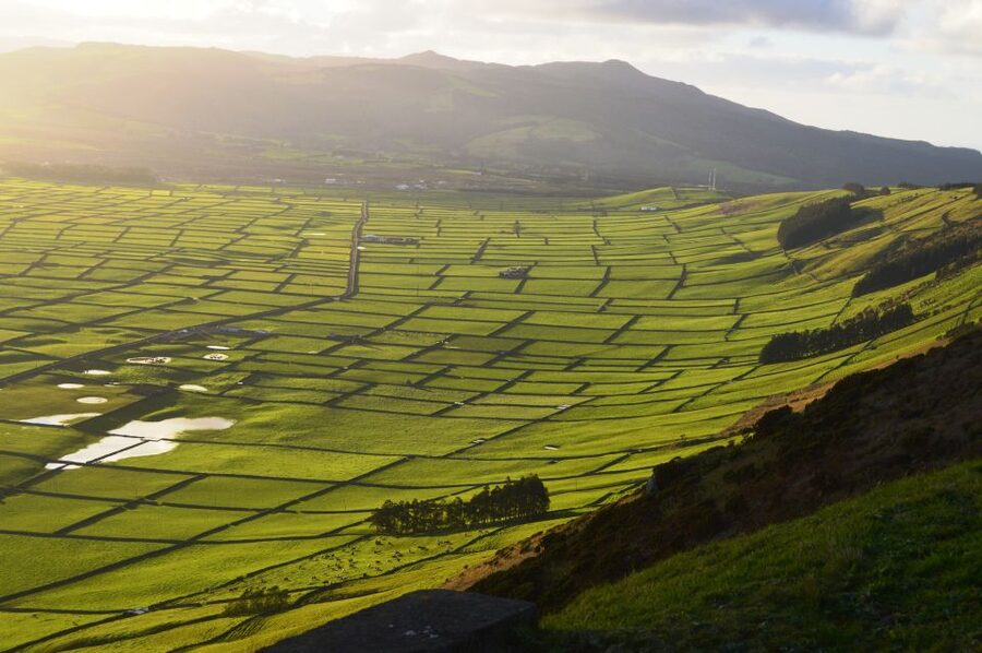 Azores: Terceira Island Full-Day Tour - Lunch in Terceira: Alcatra de Carne in a clay pot