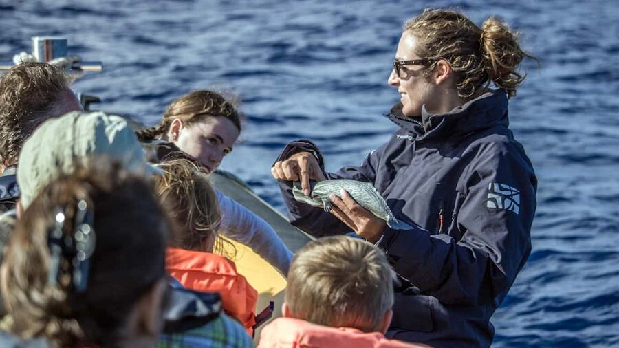 Azores: Whale Watching & Islet Boat Tour w/ Marine Biologist - The Pre-Board Briefing: What to Watch for Once You’re on the Water
