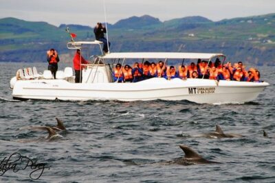 Azores Whale Watching Tour – Ponta Delgada