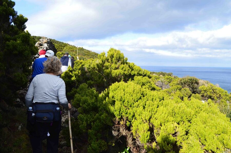 Baías de Agualva hiking - Terceira island - Price and value: is $64 per person fair?