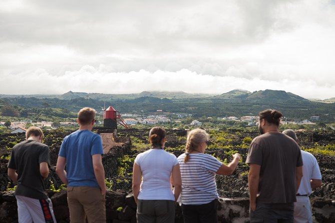 Banana Trip - Full day private tour to Pico with Round Trip from Faial - Key highlights worth waking up for