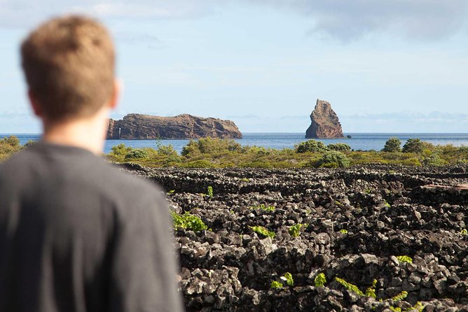 Banana Trip - Full day private tour to Pico with Round Trip from Faial - A full Pico day from Horta, with ferry time built in