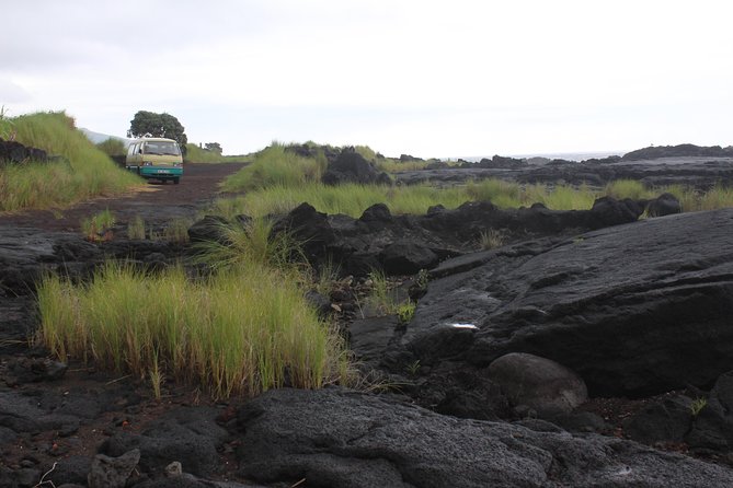 Banana Trip - Full day private tour to Pico with Round Trip from Faial - Lunch, what to pack, and how to handle 6:30 am