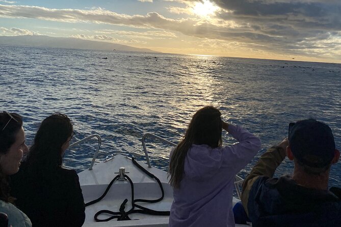 Boat Tour: Cave Tour on The North Coast - Praia dos Moinhos and Porto Formoso: The North Coast’s Big Finish