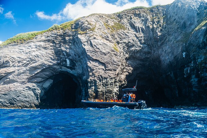 Boat Tour: Caves & Cliffs Tour on the Wild North Coast - Key highlights I’d build a day around