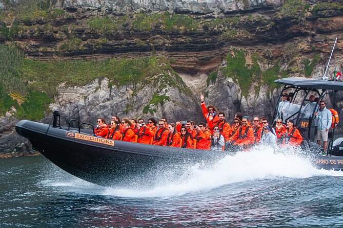 Boat Tour: Caves & Cliffs Tour on the Wild North Coast - The 2-hour Caves and Cliffs loop, what it feels like in real time