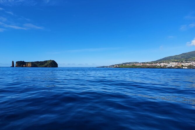 Boat Trip Around the Islet of Vila Franca do Campo - Key highlights to expect on this Vila Franca do Campo boat trip